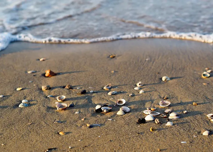 In 31317 Apartament Bibione