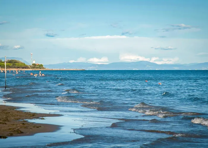 In 31317 公寓 比比翁